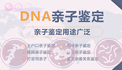 阿坝司法DNA亲子鉴定怎么收费专家咨询
