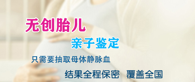 阿坝肚子里胎儿和父亲如何做亲子鉴定,阿坝无创怀孕亲子鉴定收费多少