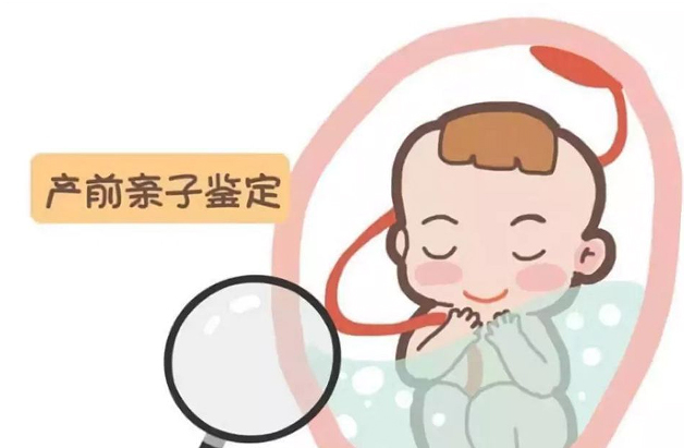 阿坝肚子里胎儿和父亲如何做亲子鉴定,阿坝无创怀孕亲子鉴定收费多少