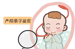 阿坝肚子里胎儿和父亲如何做亲子鉴定，阿坝无创怀孕亲子鉴定收费多少