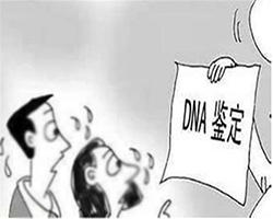 阿坝怀孕亲子鉴定机构出结果要多久（预约咨询）