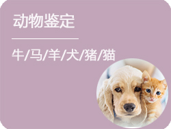 阿坝动物鉴定